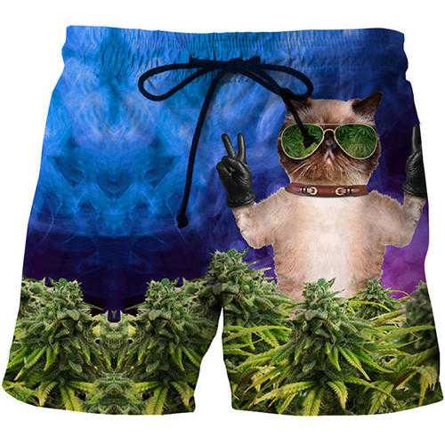 Mens 3D Glasses Cat Printing Summer Casual Beach Board Short